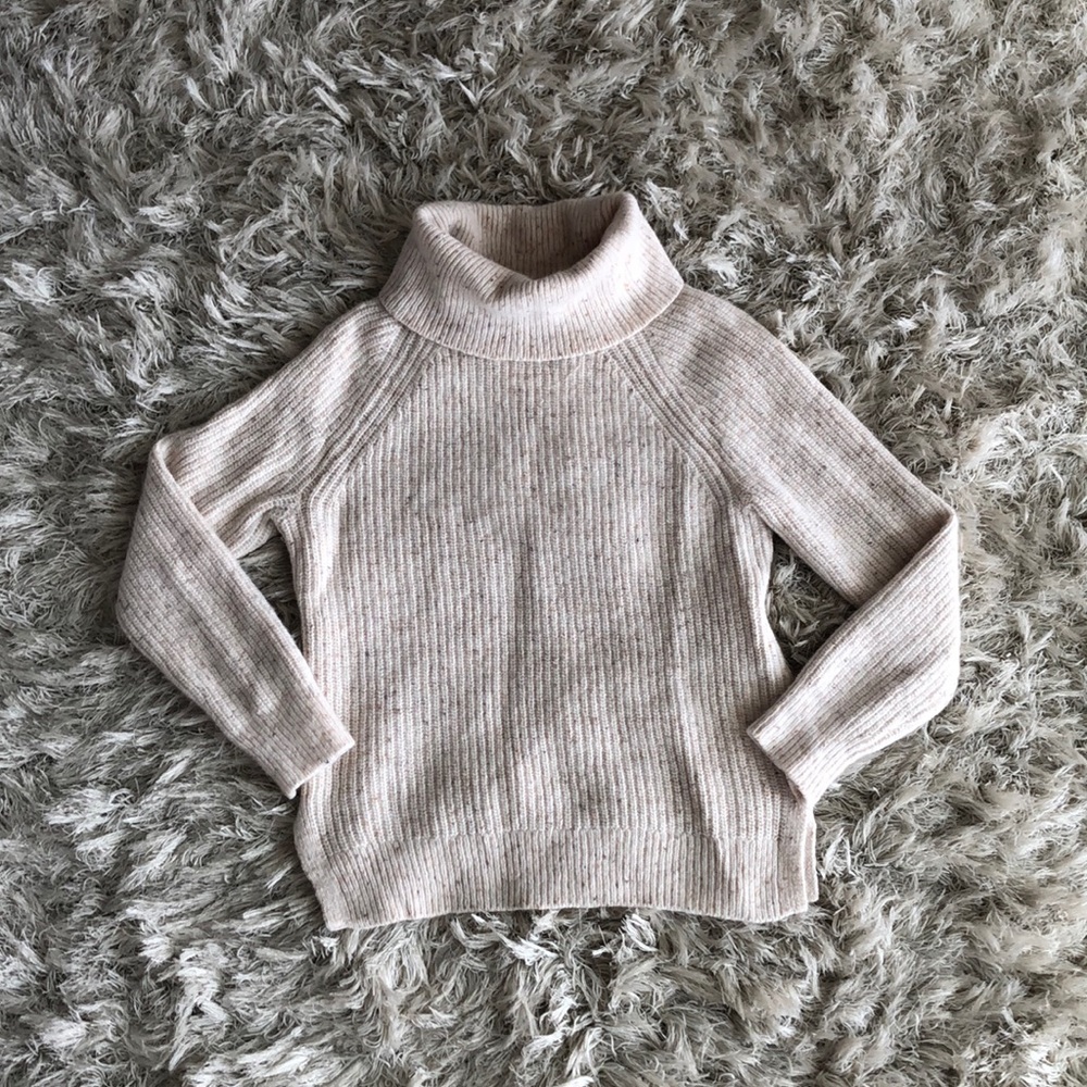J Crew Turtleneck Sweater